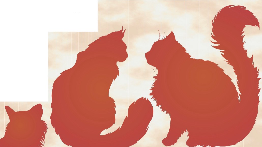 Katzenbuchreihe-Rückenbild